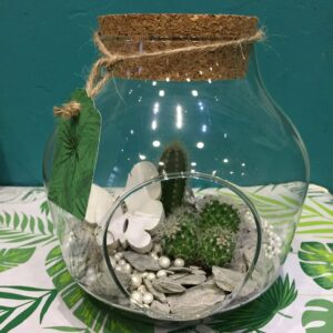 ​Composition de type terrarium de cactus