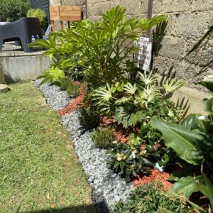 Rénovation de plate bande avec plantation de végétaux et mise en place de film geotextile en surface et finition avec écorces de couleur et pétales d’ardoise